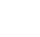 logo light